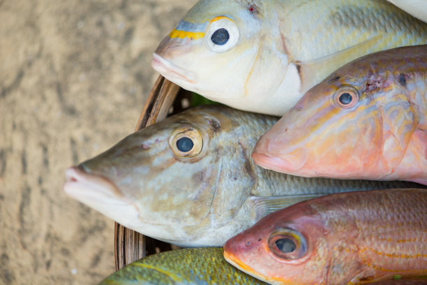 新鲜的生鱼放在木托盘里，展示生鱼片或寿司的原料图片下载