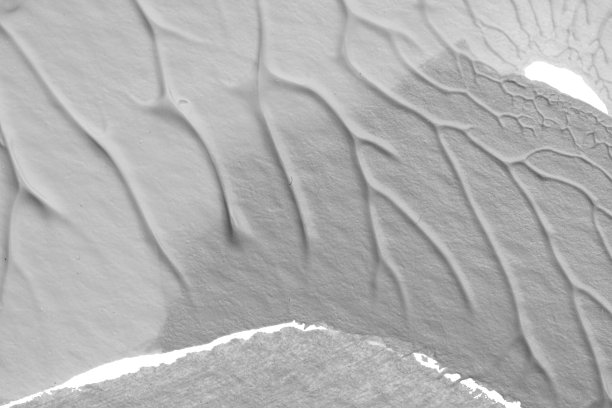 利用罗夏墨迹法在白纸背景上绘制黑白抽象丙烯画的色彩纹理图片下载