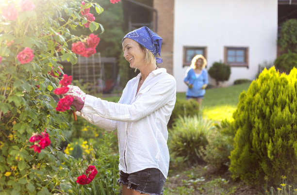 在花园里工作的女人。图片下载