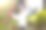 在花园里工作的女人。图片下载