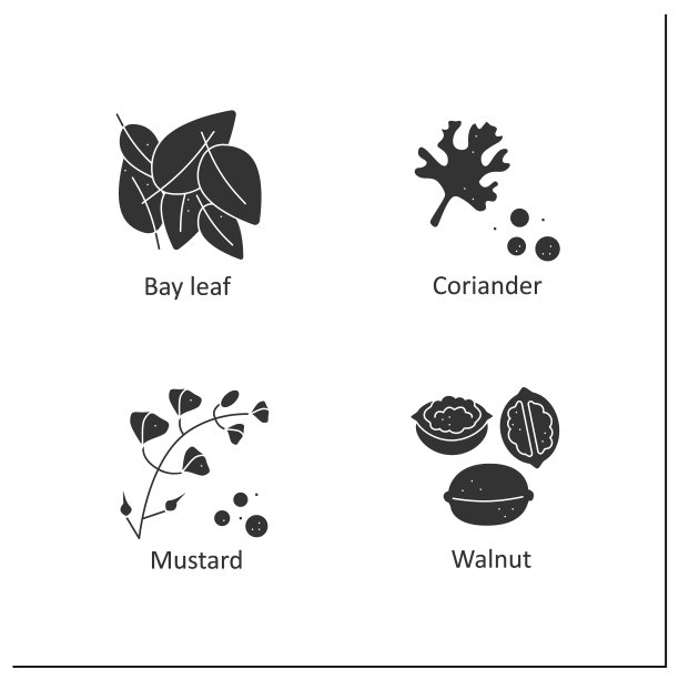 草药和香料字形图标设置图片下载