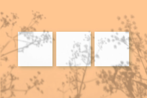 自然光将植物的阴影投射在米色纹理背景上的3张方形白色纹理纸上。模型图片下载