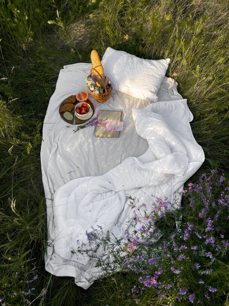 夏天，在草地上野餐。奶酪布里奶酪，法棍面包，草莓，葡萄柚，羊角面包和篮子在床上图片下载