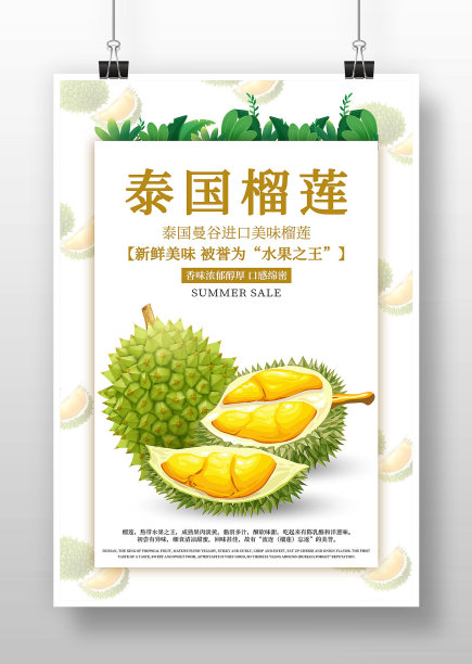 简约卡通风泰国榴莲海报图片下载