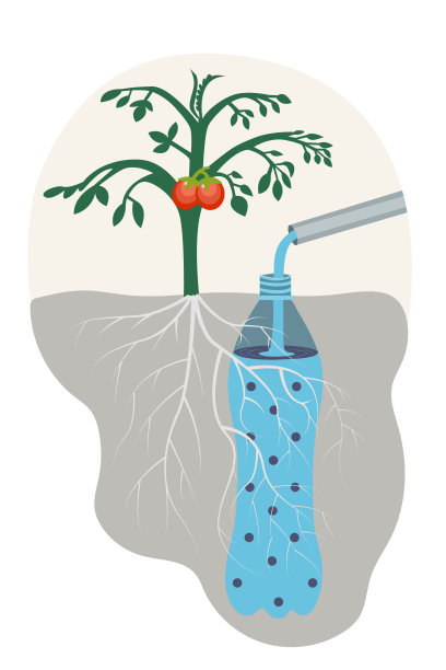 经济的植物浇水，插入一个瓶子在土壤中，当添加水将使植物更容易吸收水分。图片下载