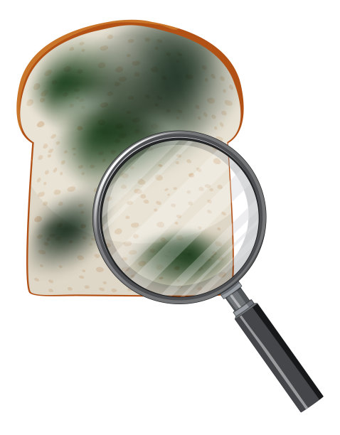 发霉不能吃的面包图片下载