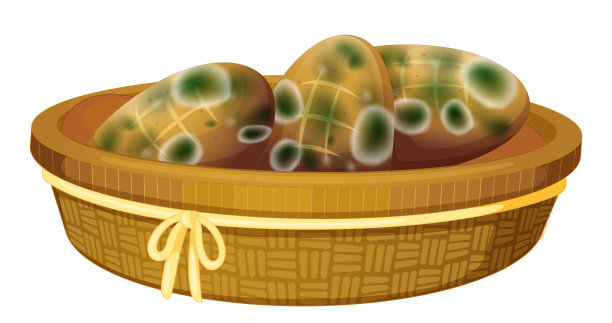 一种不能吃的长了霉的面包图片下载