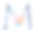 蓝色大写字母M装饰水彩海藻，珊瑚和贝壳插图。图片下载