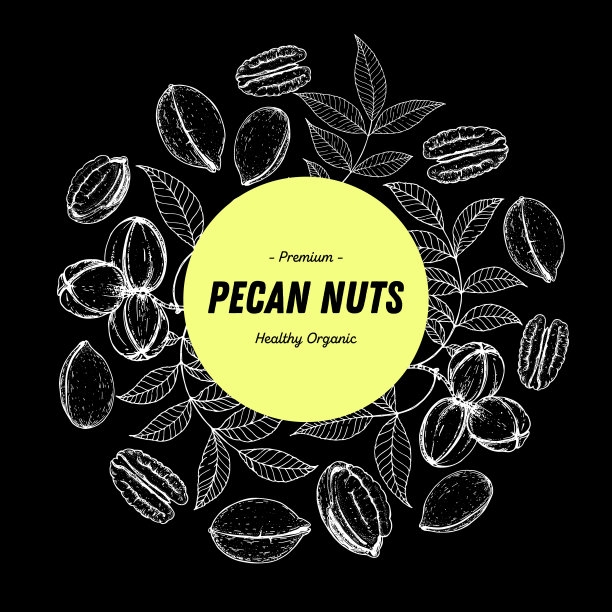 山核桃手绘草图。山核桃标签、标志。坚果矢量插图。山核桃树枝。有机健康食品。非常适合包装设计。雕刻风格。黑色和白色。图片下载