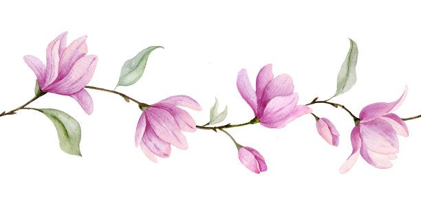 木兰无缝的边界图片下载