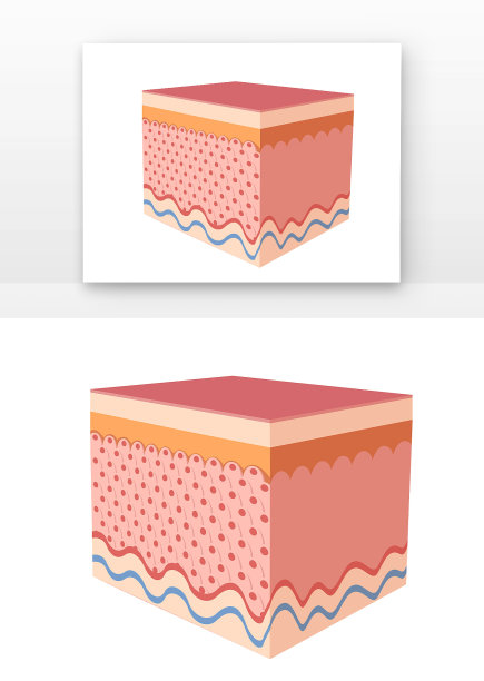 有很多细胞的皮肤块插画元素图片下载