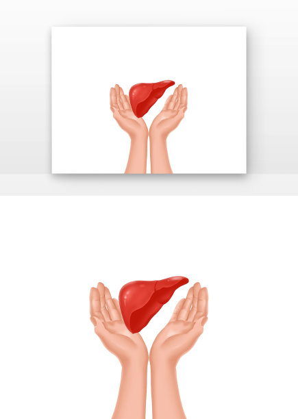 肝炎日与肝世界肝炎日手捧着肝保护肝部图片下载