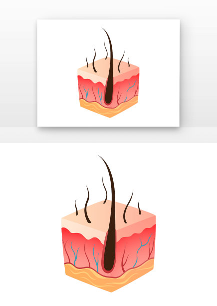 皮肤块插画元素图片下载