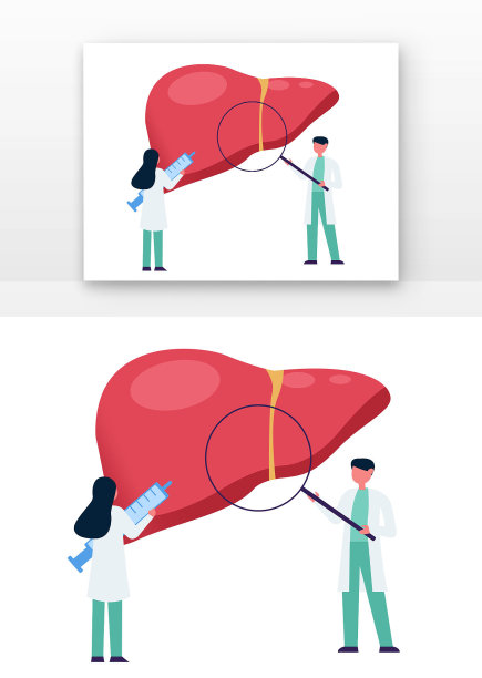 肝炎日医生检查世界肝炎日检查肝部的医生图片下载