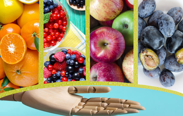 一组明亮的图片与柑橘类水果，水果，和浆果。李子，桃子，苹果和浆果，一组特写照片和一个张开的手掌的人体模型。图片下载