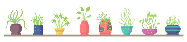 一套室内植物在货架花园花盆图片下载
