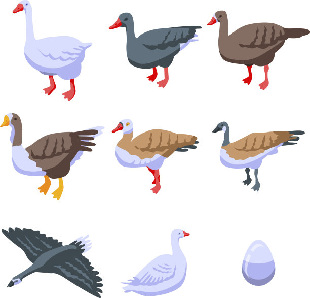 鹅图标设置等距风格图片下载