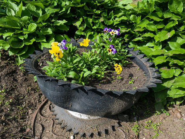 从汽车轮胎上剪下的户外花盆。图片下载