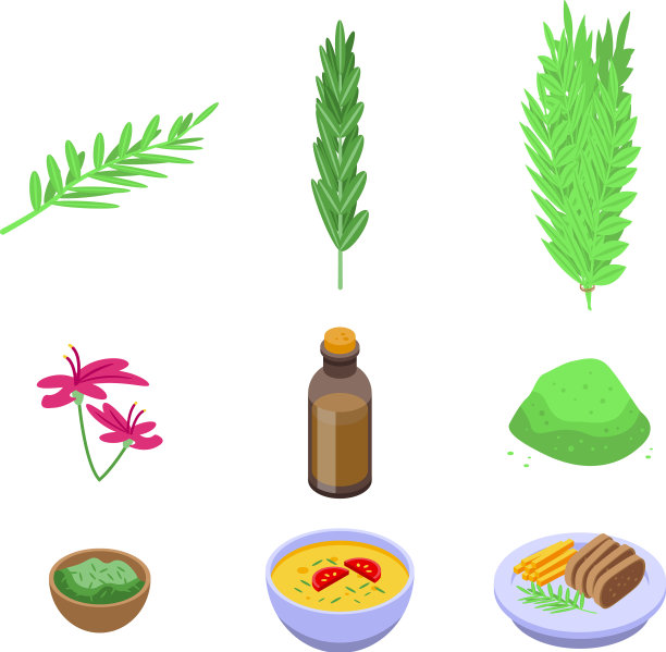迷迭香图标设置等距风格图片下载