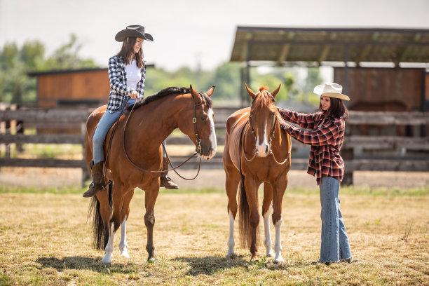 两个女孩的相聚和友谊，还有两匹夏天骑马的马。图片下载