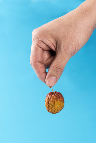 男人的手图片下载