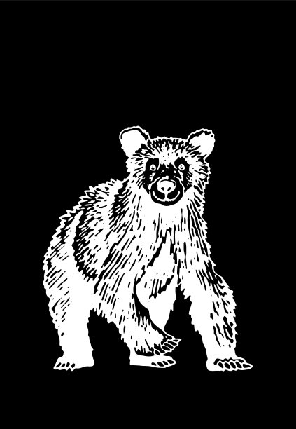 可爱的图像熊在灰熊行走的瞬间图片下载