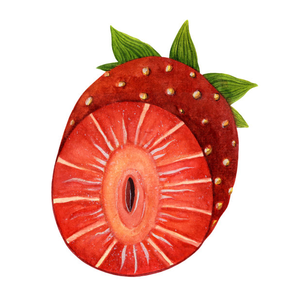 半草莓水彩插图。成熟的季节性浆果，叶在白色背景上分离。手绘清新的夏日水果，一块美味的花园甜点。有机健康食品图片下载