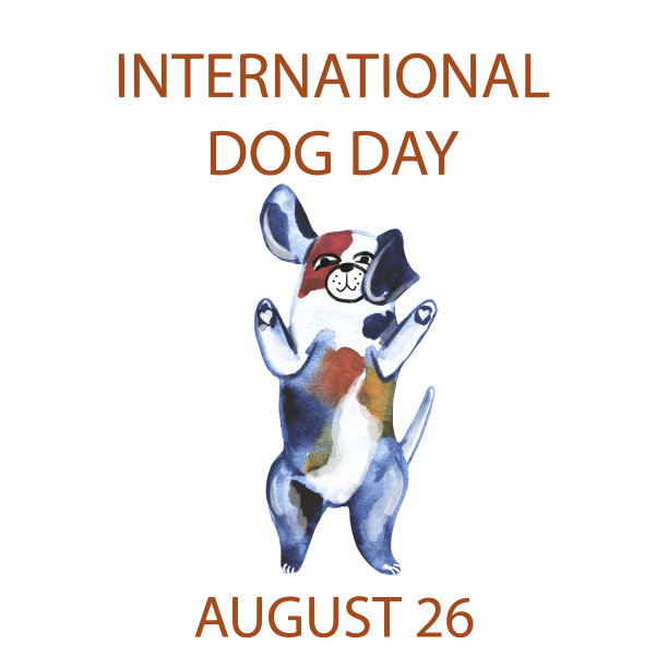 水彩插图，一只斑点狗站在它的后腿，铭文国际狗日。图片下载