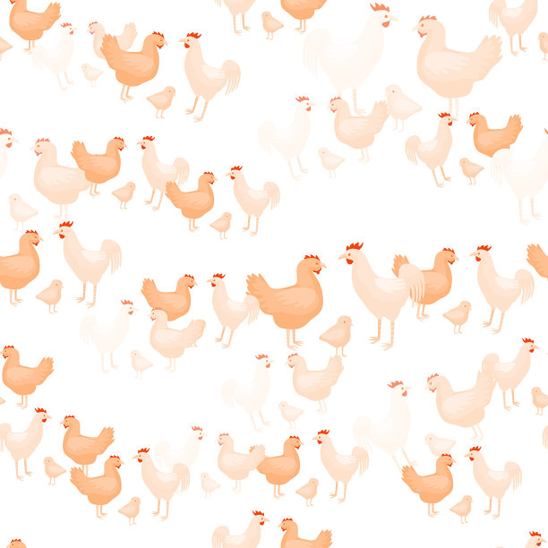 无缝格局鸡家庭家庭图片下载