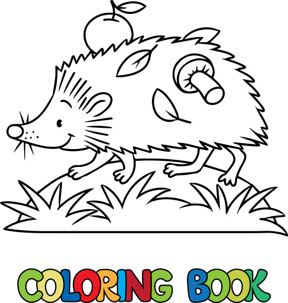 有趣的刺猬孩子涂色书I图片下载