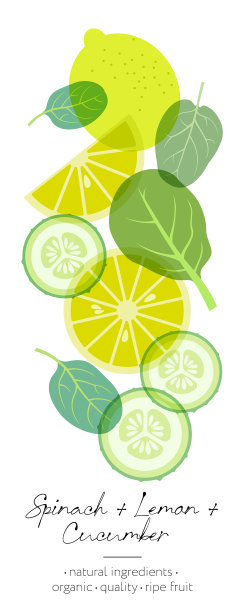 黄瓜酸橙菠菜蔬菜水果草本排毒图片下载