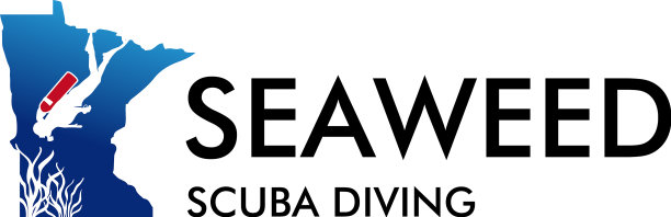 现代彩色海藻水肺潜水标志设计图片下载