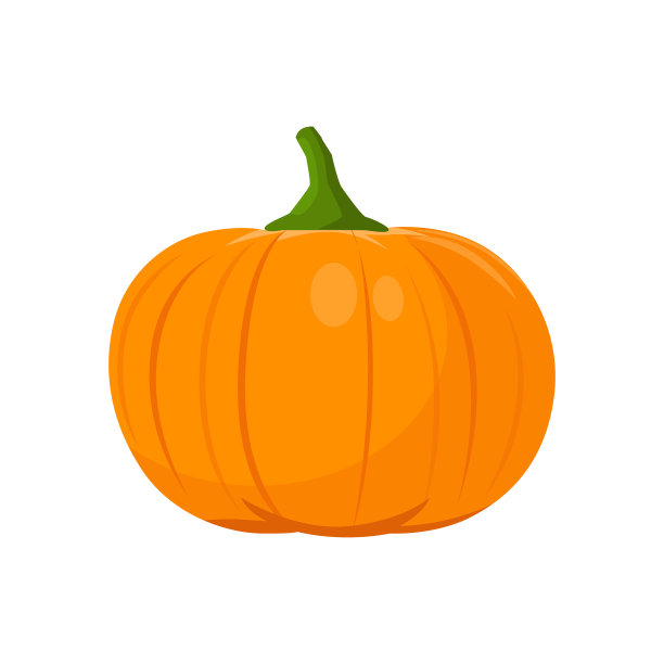 南瓜的平坦，在白色上分离图片下载