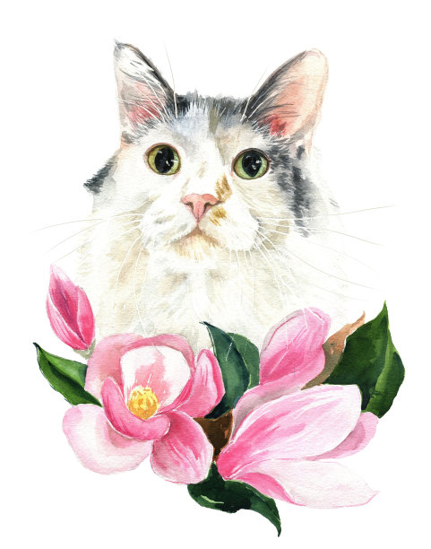 水彩写实猫肖像，宠物肖像，为猫爱好者图片下载