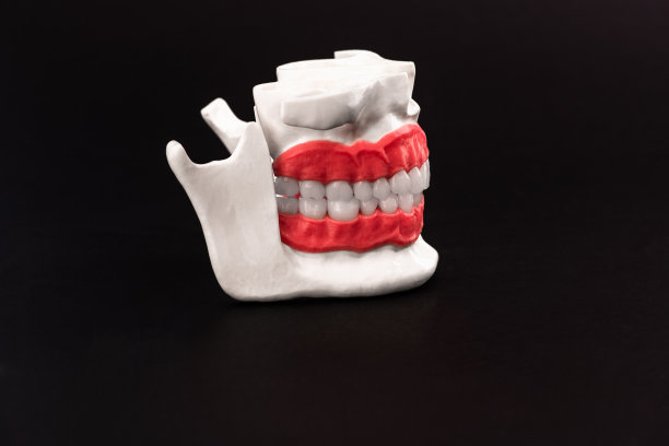 在蓝色背景上分离出具有牙齿和牙龈的人类下颌解剖模型。健康牙齿、牙齿保健及正畸医疗保健理念图片下载