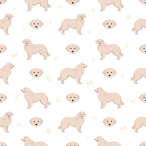 玛瑞玛牧羊犬无缝图案不同的姿势图片下载