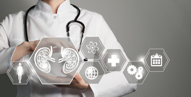 无法辨认的女医生手持肾脏器官的图形虚拟可视化模型。背景上有多个医学图标。图片下载