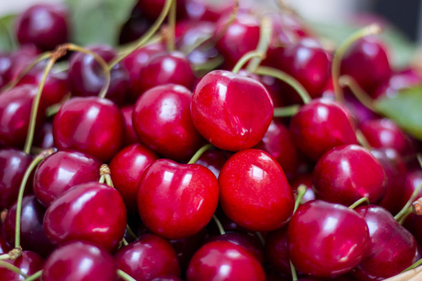 樱桃的季节。农贸市场的有机新鲜樱桃图片下载