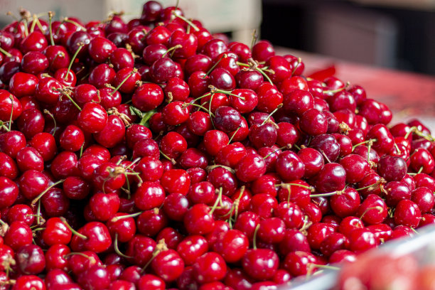 樱桃的季节。农贸市场的有机新鲜樱桃图片下载