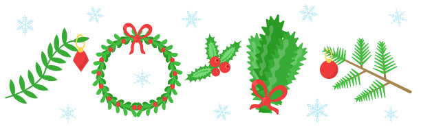 杉木，云杉，冬青，紫杉，槲寄生，常青藤图片下载