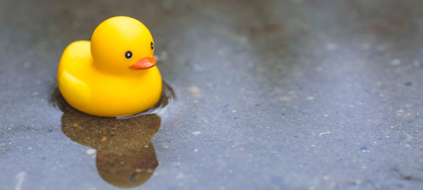 夏日季节，一款概念儿童游戏。一只橡皮黄色的小鸭子在水里游泳。玩具特写。象征游泳、童年、友谊、好玩的游戏。图片下载
