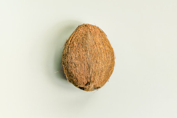椰子在浅绿色的背景。特写镜头。图片下载