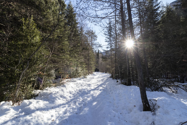 奥尔德萨国家公园的雪道图片下载