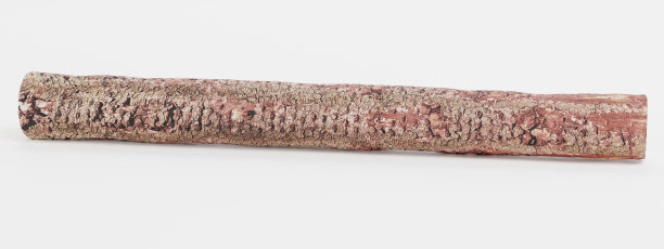 逼真的3D渲染树的日志图片下载