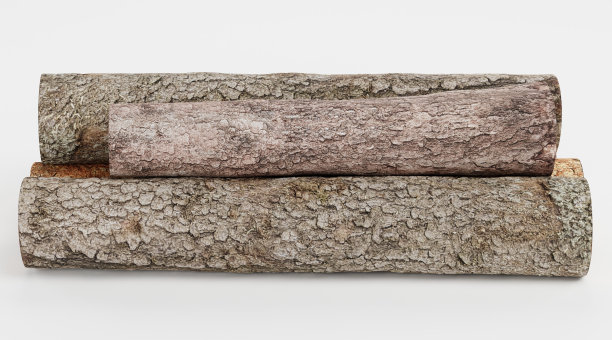 逼真的3D渲染树的日志图片下载