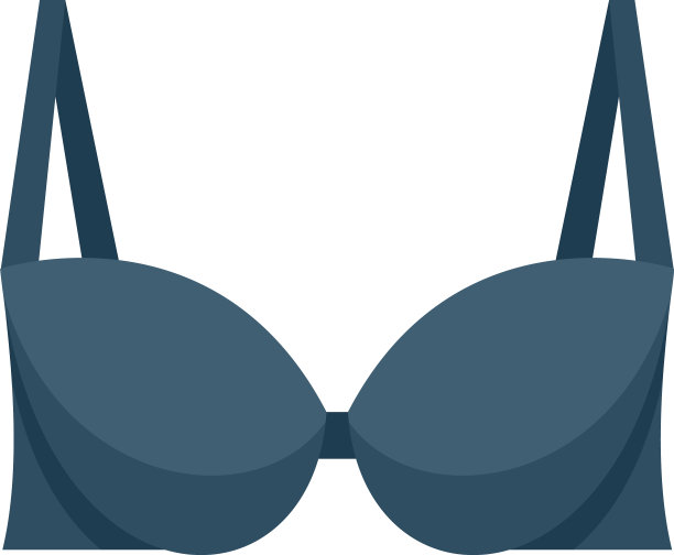 优雅的胸罩图标平孤立图片下载