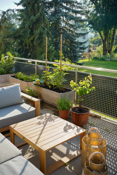 神奇的晨光，我们的阳台花园。图片下载