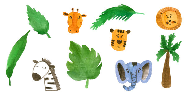 热带国家的动物水彩套装。图片下载