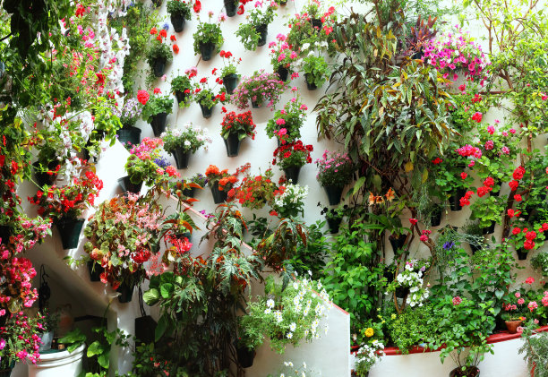 科尔多瓦花节图片下载