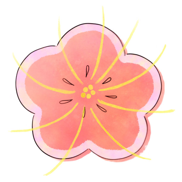 日本传统图案花图片下载